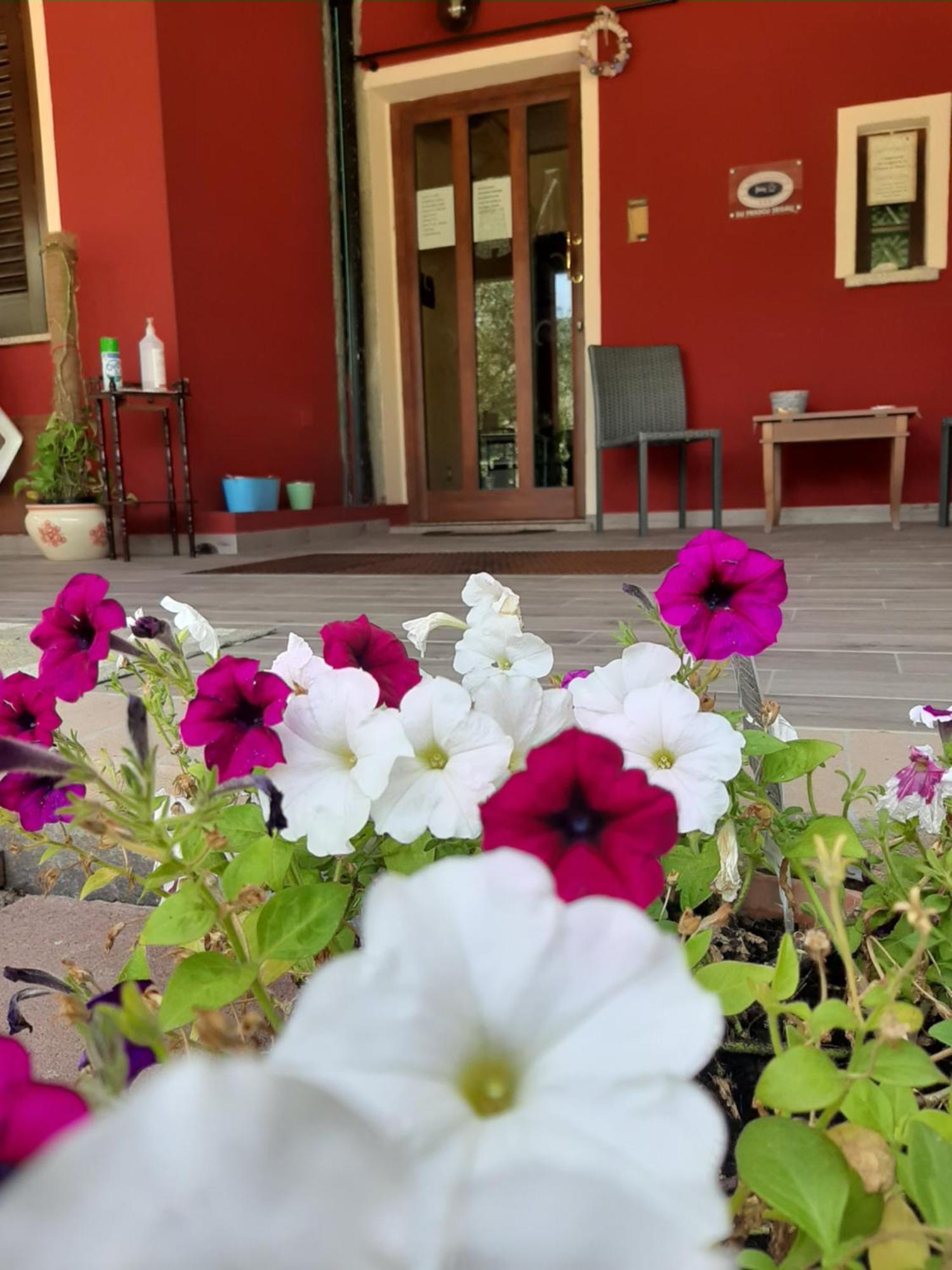 B&B Su Frascu Segau Teulada Dış mekan fotoğraf